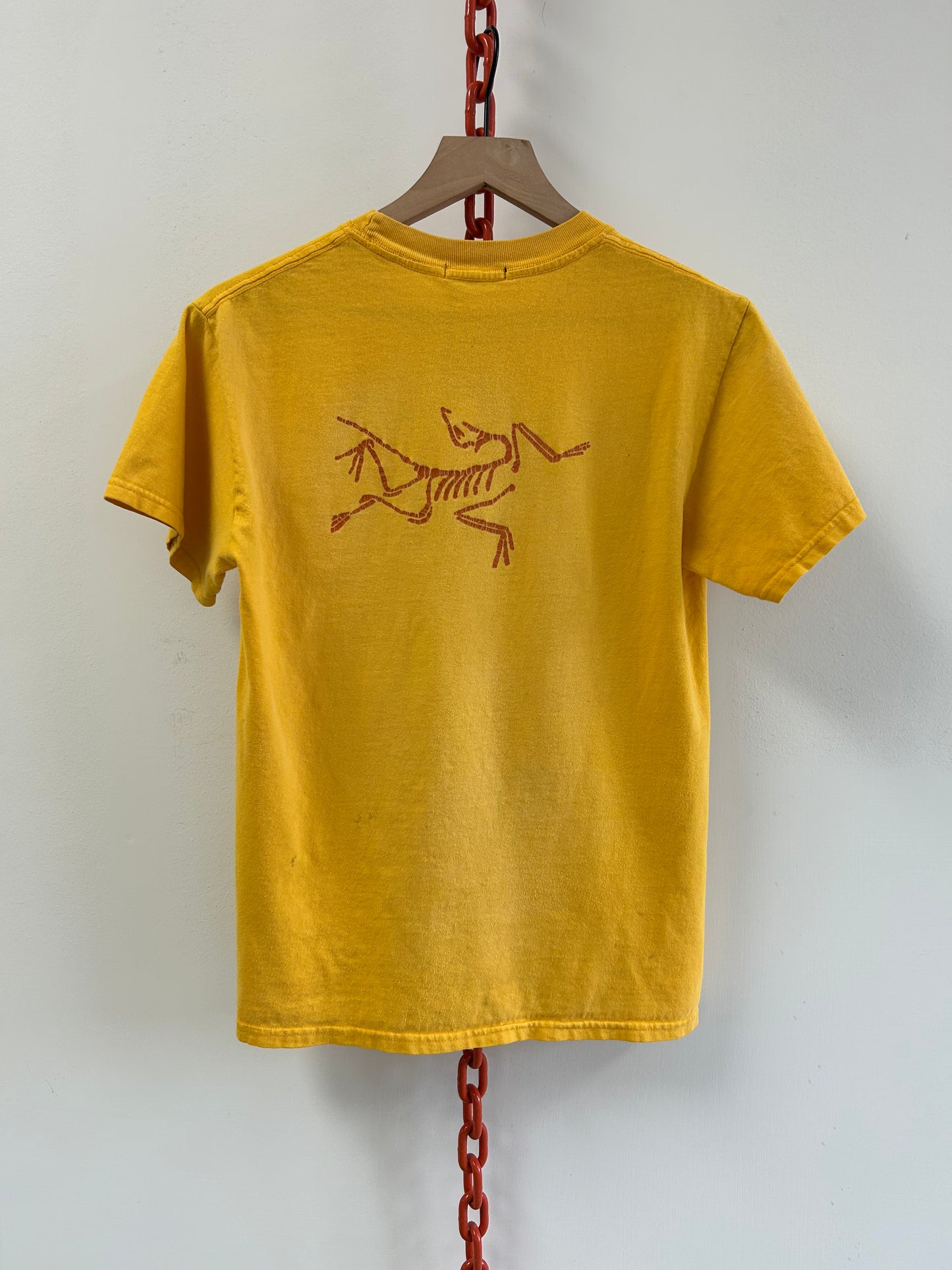 Vintage Arcteryx tshirt (M)