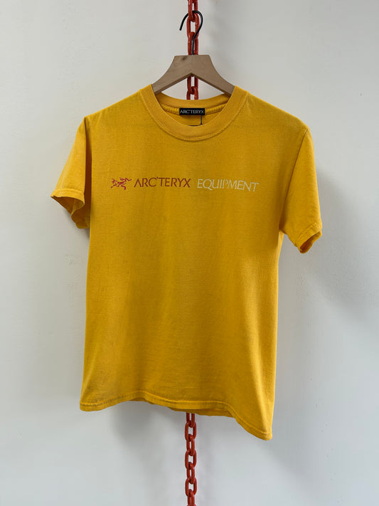 Vintage Arcteryx tshirt (M)